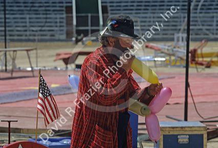 A circus clown blows up balloons for making balloon animals.
