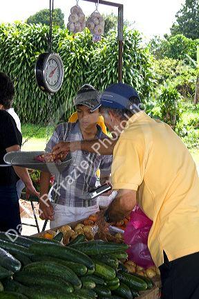 Outdoor produce market at Venecia, Costa Rica.