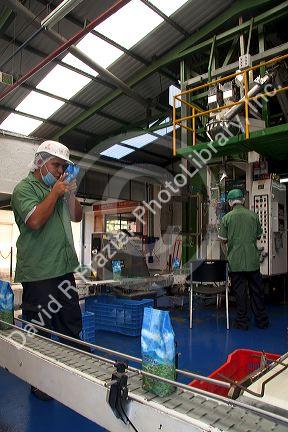 Britt coffee roasting and packaging plant in San Rafael de Heredia, Costa Rica.