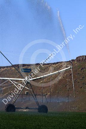 Center-pivot irrigation at King Hill, Idaho, USA.