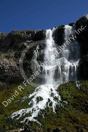 Natural spring water flowing out of lava rock at the Thousand Springs area of the Snake River in the Hagerman Valley, Idaho, USA.