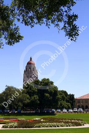 Hoover Tower on the Stanford University campus in Palo Alto, California, USA.