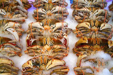 Crab being sold at the Pike Place Market in Seattle, Washington, USA.