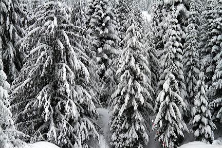 Winter weather at the Snoqualmie Pass summit along Interstate 90 through the Cascade Range in Washington, USA.