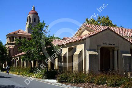 Hoover Tower on the Stanford University campus in Palo Alto, California, USA.