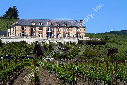 Domaine Carneros Winery and vineyards in the Napa Valley, California, USA.