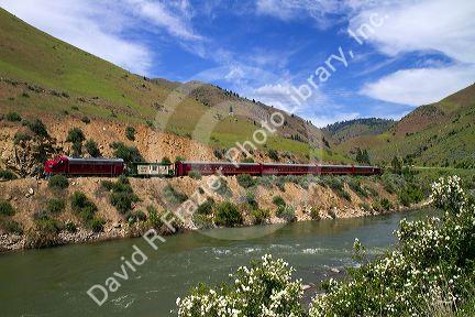The Thunder Mountain Line scenic tourist train traveling along the Payette River between Horseshoe Bend and Banks, Idaho, USA.