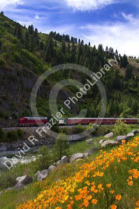 The Thunder Mountain Line scenic tourist train traveling along the Payette River between Horseshoe Bend and Banks, Idaho, USA.