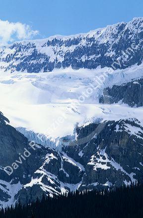 Columbia ice field in Jasper Park, Banff, Canada.