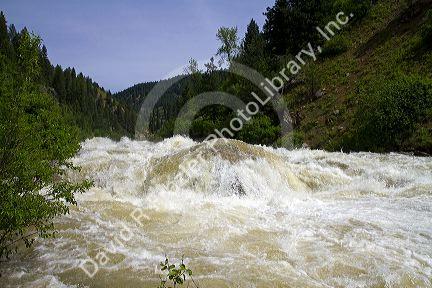 High water during spring runoff at Cascade Dam and the North Fork of the Payette River, Idaho, USA.