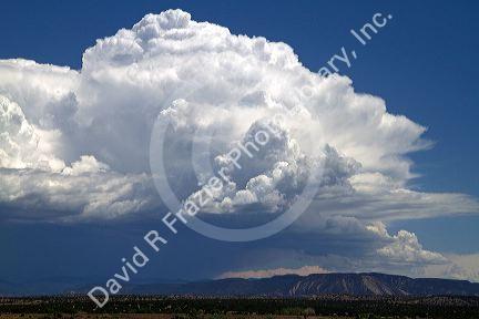 Stratocumulus clouds building over the desert near Cuba, New Mexico, USA.
