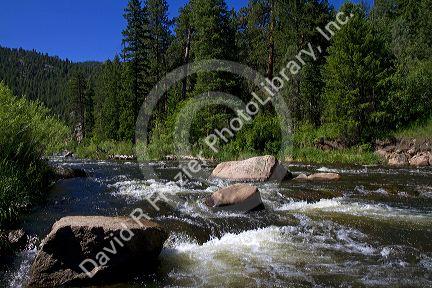 The Big Thompson River near Loveland, Colorado, USA.