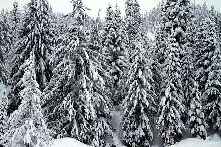 Winter weather at the Snoqualmie Pass summit along Interstate 90 through the Cascade Range in Washington, USA.