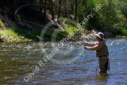 Fly fishing the Salmon River near Stanley, Idaho, USA.