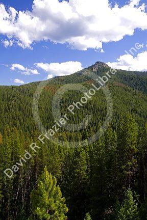 View of Castle Rock in the Selway-Bitterroot Wilderness in the state of Montana, USA.