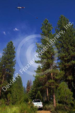 Helicopter with bucket performing aerial firefighting on a wildfire near Lowman, Idaho, USA.