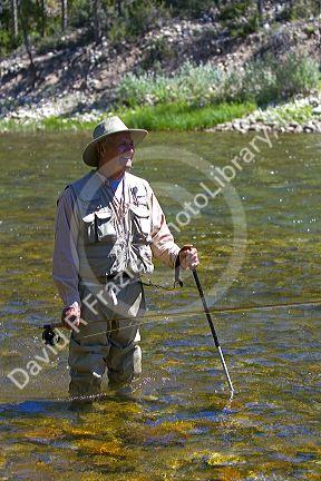 Fly fishing the Salmon River near Stanley, Idaho, USA.