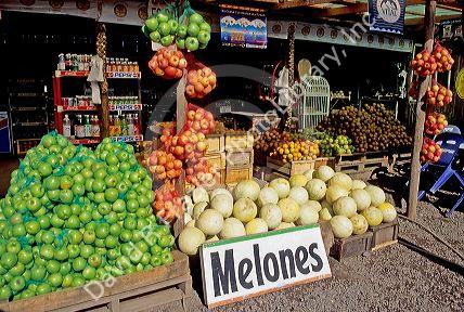 A roadside fruit stand in Chile.