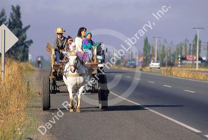 A family traveling in a horse drawn wagon along the transamerica highway in Chile.