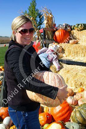 Woman choosing a pumpkin at a pumpkin patch in Fruitland, Idaho, USA. MR