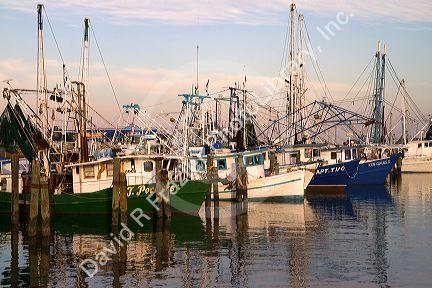 Fishing boat harbor at Pass Christian, Mississippi, USA.