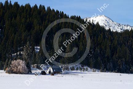 Winter landscape at Round Valley in Valley County, Idaho, USA.