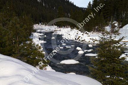 The North Fork of the Payette River during winter, Valley County, Idaho, USA.