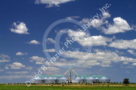Grain silo's and farmland on the pampas of Argentina.