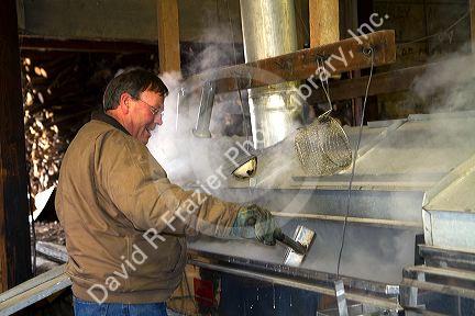 Worker boiling maple sap in a sugar shack at Lake Odessa, Michigan, USA.