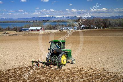 Tractor cutting corrugates into field for irrigation near Lake Lowell in Canyon County, Idaho, USA.