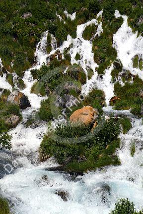 Niagara Springs at Thousand Springs State Park in the Hagerman Valley, Idaho, USA.