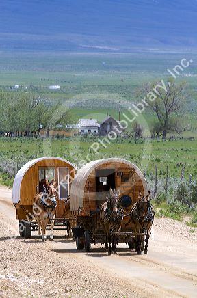 Covered wagons being pulled by mules at the City of Rocks National Reserve and state park in Cassia County, Idaho, USA.