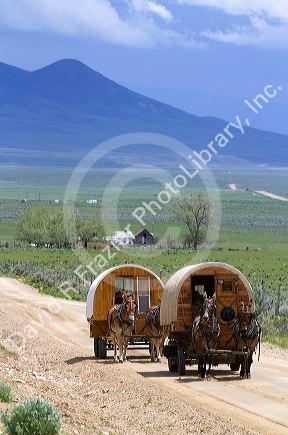 Covered wagons being pulled by mules at the City of Rocks National Reserve and state park in Cassia County, Idaho, USA.