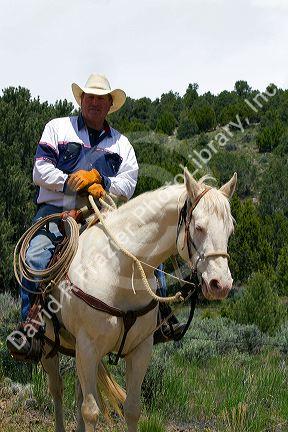 Portrait of a cowboy on a white horse in Cassia County, Idaho, USA.