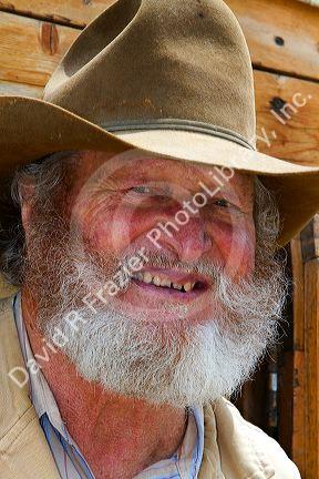 Muleskinner riding on a covered wagon at the City of Rocks National Reserve and state park in Cassia County, Idaho, USA. MR