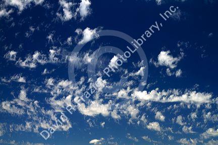 Cirrus clouds in the blue sky.