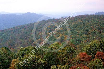 Fall colors on a foggy day along Skyline Drive in Shenandoah National Park, Virginia.