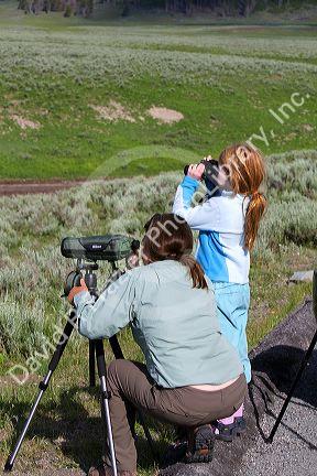Mother and daughter viewing wildlife in Yellowstone National Park, USA. MR