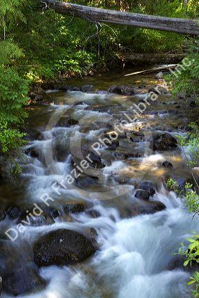 Grave Creek running into the Lochsa River in north central Idaho, USA.