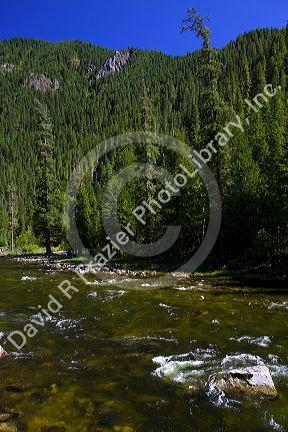 The Lochsa River along US-12 in north central Idaho, USA.