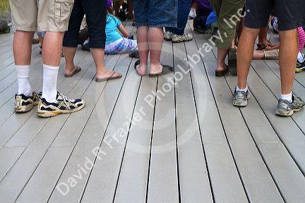 Deck lumber made from recycled plastic at Old Faithful viewing area in Yellowstone National Park, Wyoming, USA.