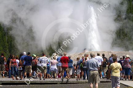 Tourists gather to watch the Old Faithful geyser eruption in Yellowstone National Park, USA.