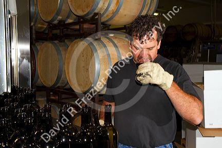 Winemaker tasting red wine at Woodriver Cellars in Eagle, Idaho, USA.