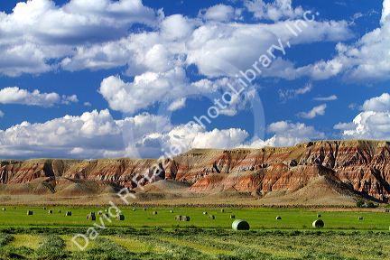 Red rock cliffs and newly harvested alfalfa hay near Dubois, Wyoming, USA.