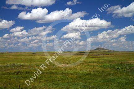 Tallgrass prairie along highway 85 in South Dakota, USA.
