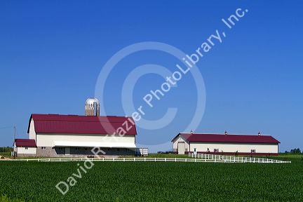 Farm and soybean crop north of Eau Claire, Wisconsin, USA.