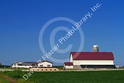 Farm and soybean crop north of Eau Claire, Wisconsin, USA.