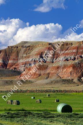 Red rock cliffs and newly harvested alfalfa hay near Dubois, Wyoming, USA.