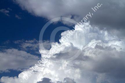 Storm clouds form in the sky.