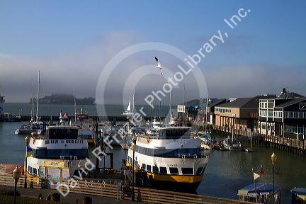 Boats docked at Pier 39 marina in San Francisco, California, USA.